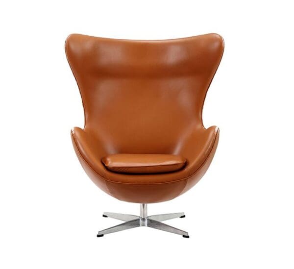 Egg Chair