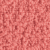 TeddyC-22