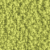 TeddyC-32